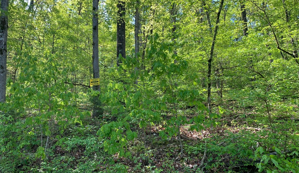 WhatsApp Image 2020-04-21 at 10.29.10 AM