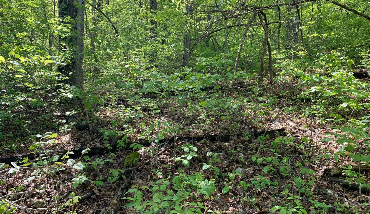 WhatsApp Image 2020-04-21 at 10.29.11 AM