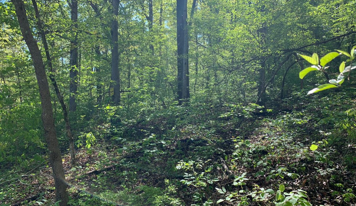 WhatsApp Image 2020-04-21 at 10.29.12 AM (1)