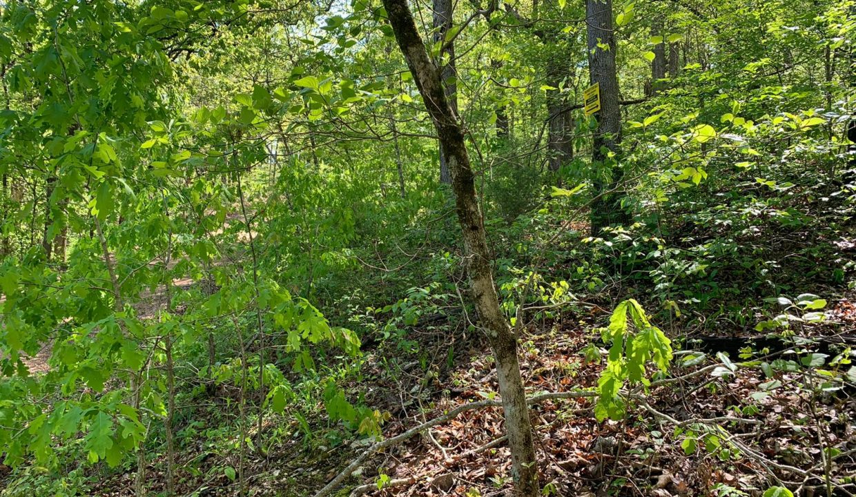 WhatsApp Image 2020-04-21 at 10.29.12 AM