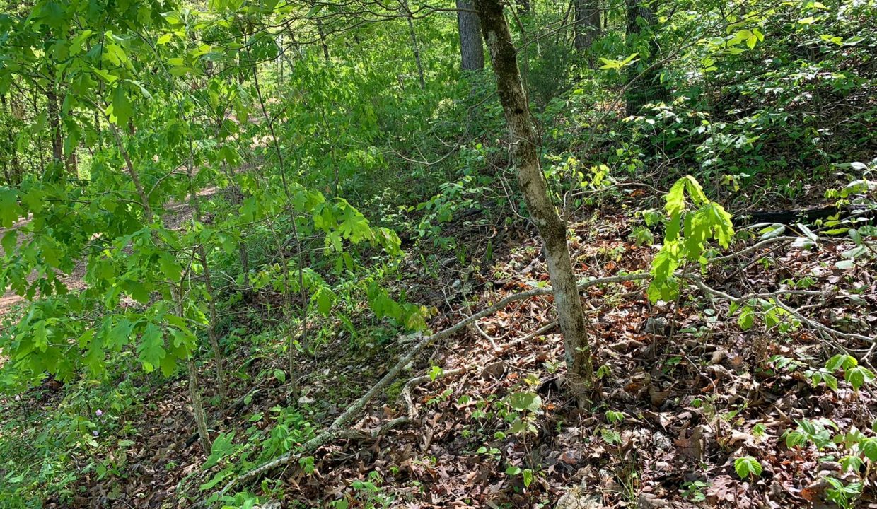 WhatsApp Image 2020-04-21 at 10.29.13 AM (1)