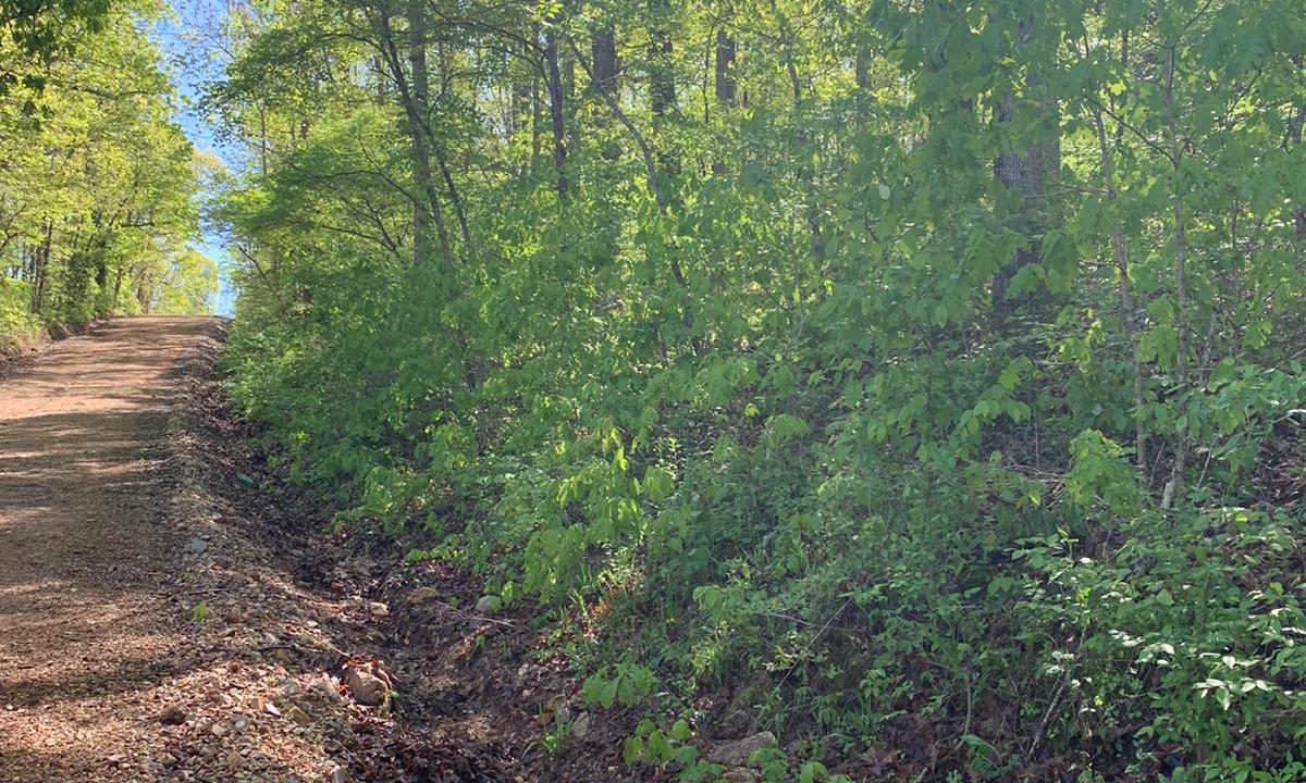 WhatsApp Image 2020-04-21 at 10.29.13 AM