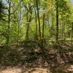 Lot 28, Cowpoke Drive, Ozark Acres AR 72482 owner financed land in arkansas