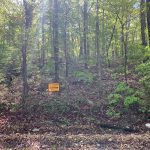 Lot 21, Pony Express, Ozark Acres AR 72482 owner financed land in arkansas