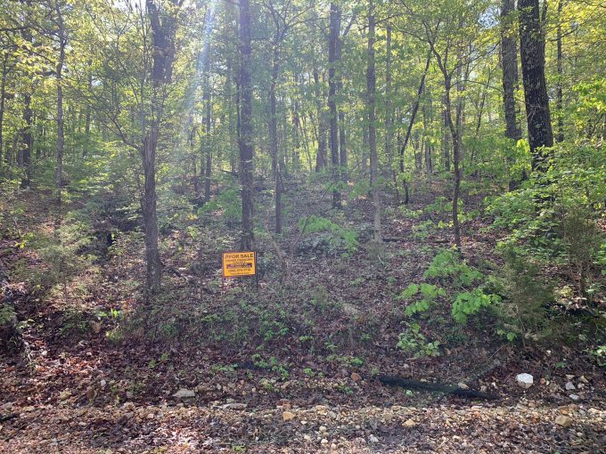 Lot 21, Pony Express, Ozark Acres AR 72482 owner financed land in arkansas