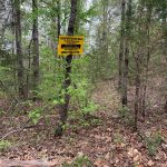 Lot 17, Old CCC Rd Hardy AR 72542 owner financed land in arkansas