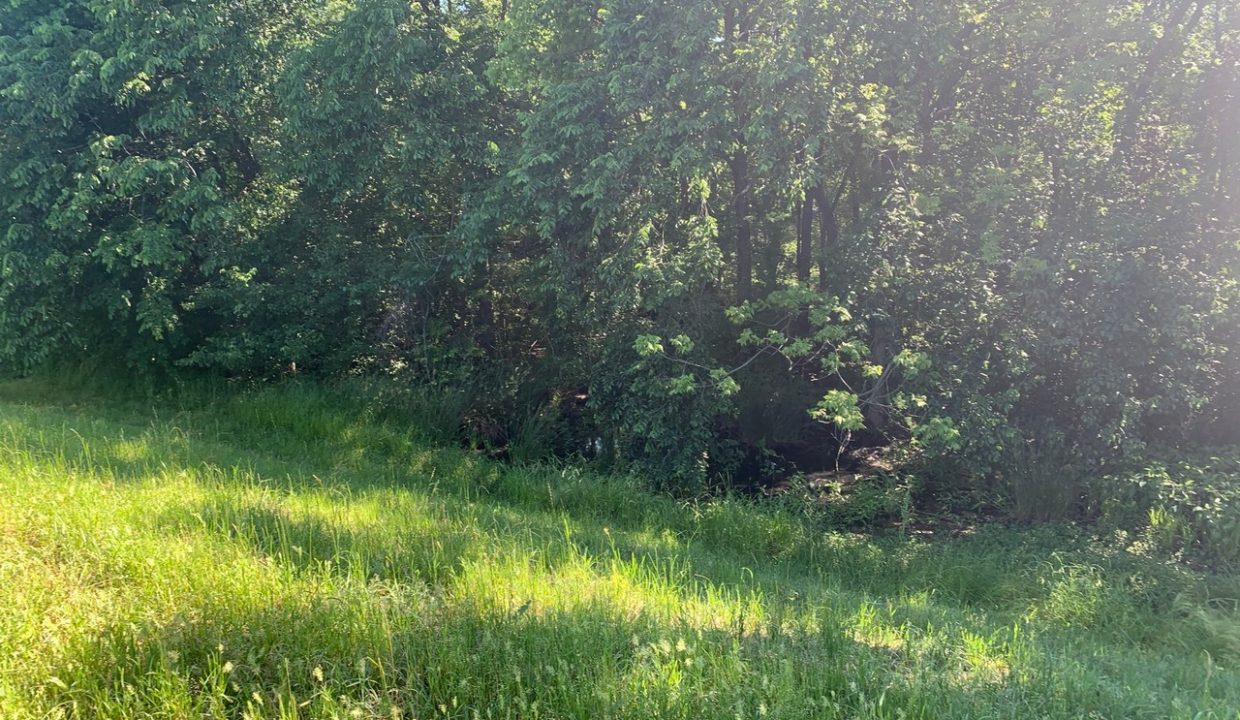 Image00001