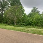 0 W Stiers Ln, Natchez, Mississippi owner financed land in arkansas