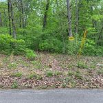 Lot 2, Summit Ridge Dr, Ozark Acres, AR 72482 owner financed land in arkansas