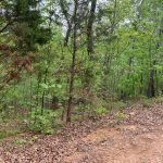 0 Abby Rd, Hardy, AR 72542 owner financed land in arkansas