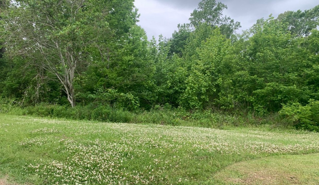 Image00003