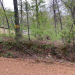 Lot 33, Lakeside Trail, Ozark Acres, AR 72482 owner financed land in arkansas