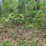 Lot 3, Vagabond Road, Ozark Acres, AR 72482 owner financed land in arkansas