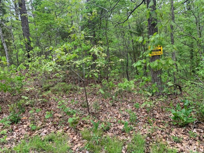 Lot 3, Vagabond Road, Ozark Acres, AR 72482 owner financed land in arkansas