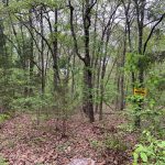 Lot 14-16, Durre Drive, Ozark Acres, AR 72482 owner financed land in arkansas