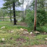 Lot 16, Summit Ridge Dr, Ozark Acres, AR 72482 owner financed land in arkansas