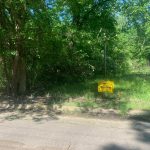 0 Bismark Street, Texarkana, AR 71854 owner financed land in arkansas