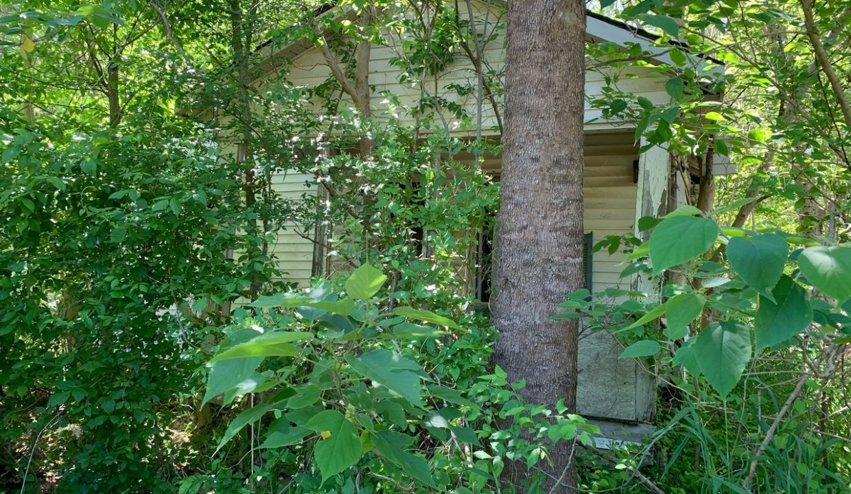 Image00006