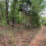 Lot 4, Old CCC Rd Hardy AR 72542 owner financed land in arkansas