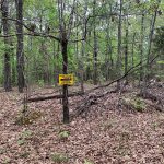 Lot 30, Durre Drive, Ozark Acres, AR 72482 owner financed land in arkansas