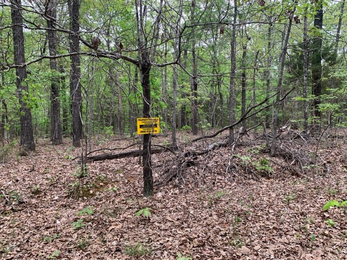 Lot 30, Durre Drive, Ozark Acres, AR 72482 owner financed land in arkansas