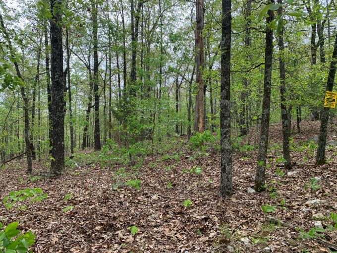 Lot 2, Old CCC Rd Hardy AR 72542 owner financed land in arkansas