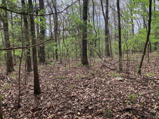 0 Duckworth Rd, Hardy, AR 72542 owner financed land in arkansas