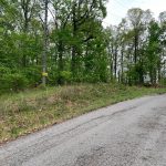 0 Vagabond Trail, Ozark Acres, AR 72482 owner financed land in arkansas