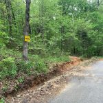 0 W Lakeshore Dr, Ozark Acres, AR 72482 owner financed land in arkansas