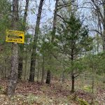 Lot 27, Old CCC Rd, Hardy AR 72542 owner financed land in arkansas