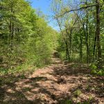 Lot 1, Hitching Post Drive, Ozark Acres, AR 72482 owner financed land in arkansas