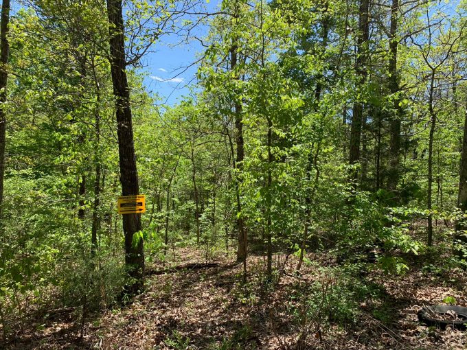 Lot 13, Cardinal Hill Drive, Ozark Acres, AR 72482 owner financed land in arkansas
