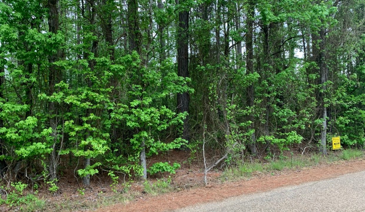 Image00001