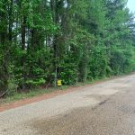 0 Jones Lake Road, Strong, AR 71765 owner financed land in arkansas