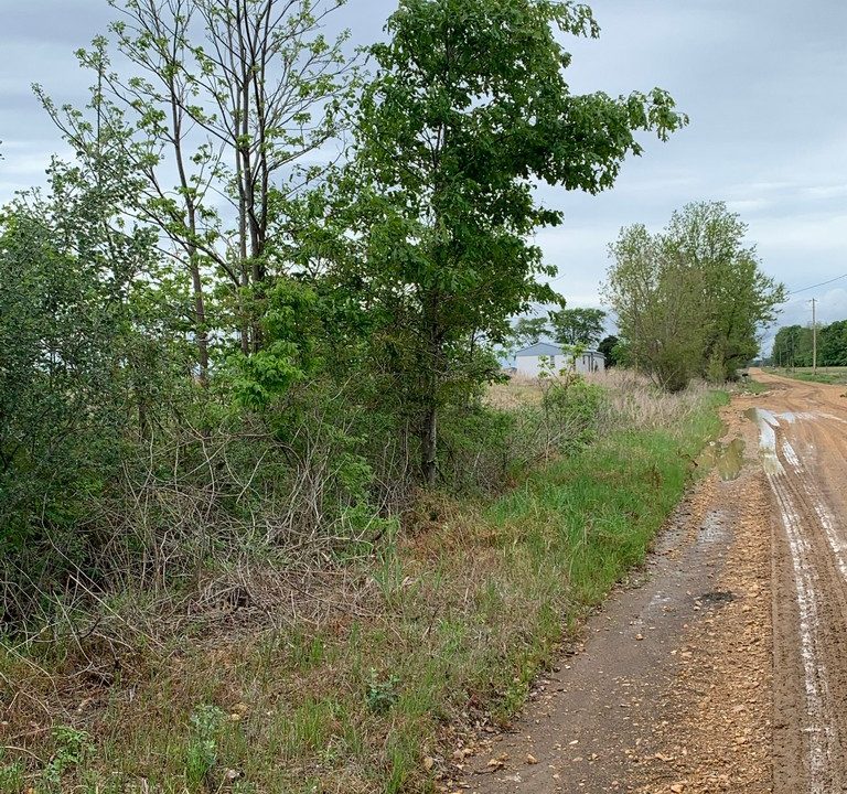 Image00003