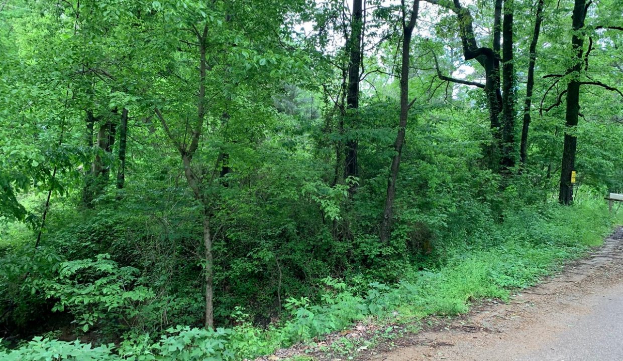 Image00006