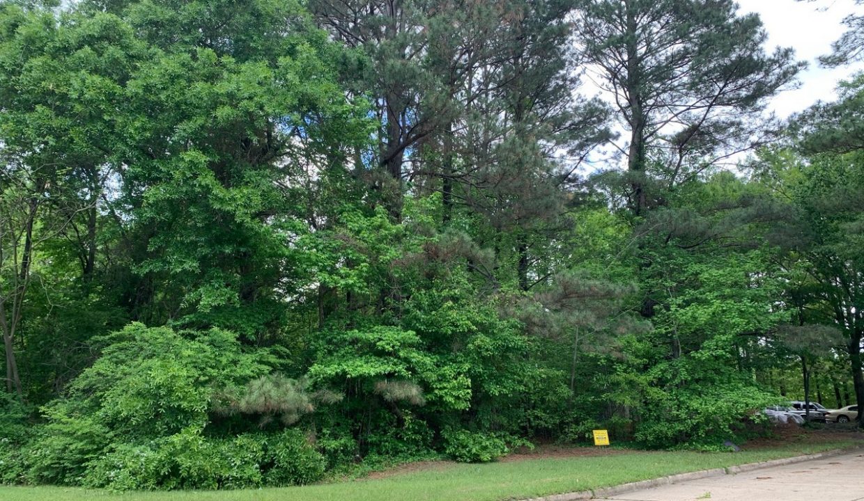 Image00009
