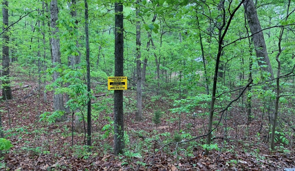 Image00001
