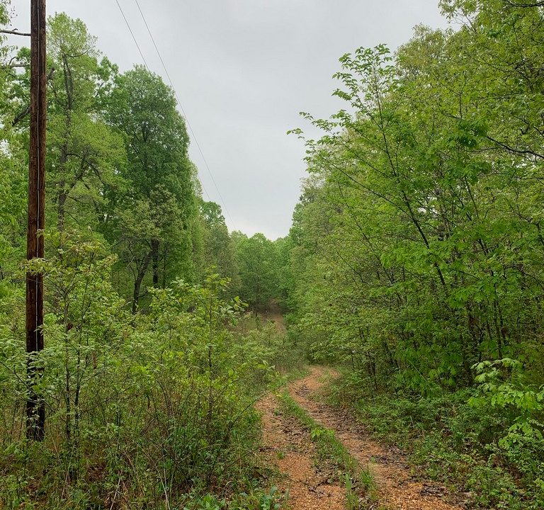 Image00001