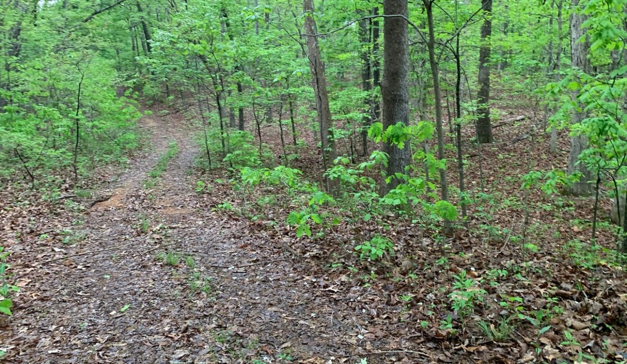 Image00002