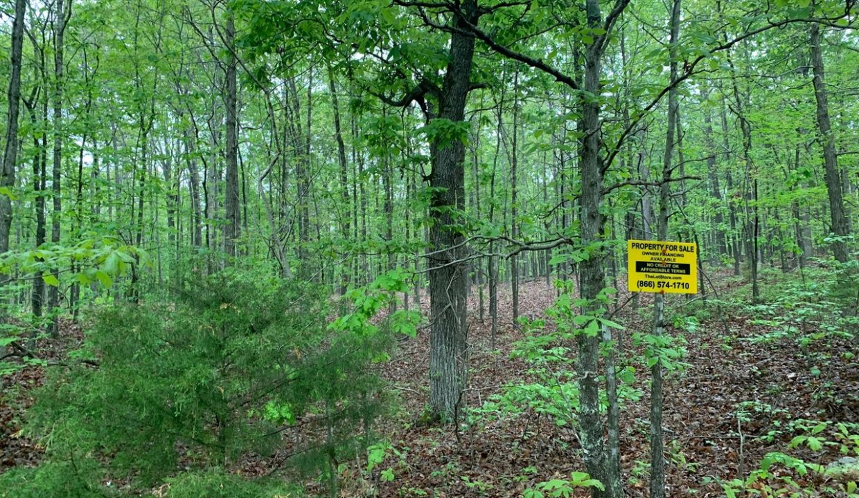 Image00002