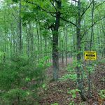 Lot 16, Block 2, Robinhood Drive, Ozark Acres, AR 72482 owner financed land in arkansas