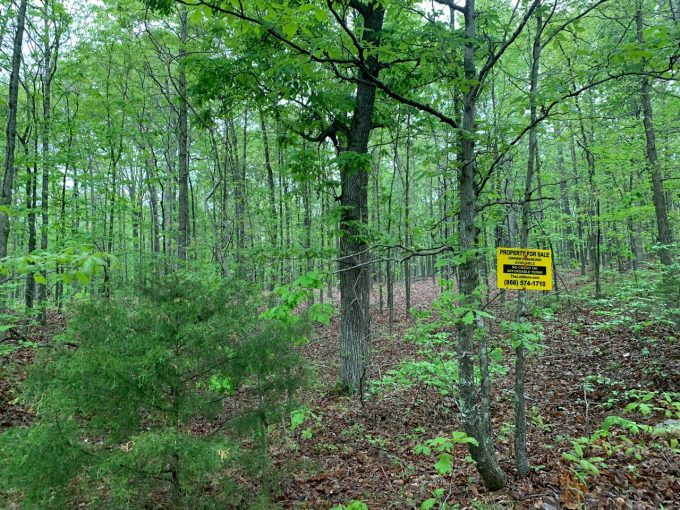 Lot 16, Block 2, Robinhood Drive, Ozark Acres, AR 72482 owner financed land in arkansas