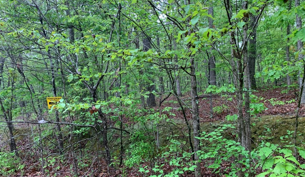 Image00003