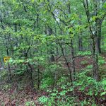 Lot 6, Block 1, Robinhood Drive, Ozark Acres, AR 72482 owner financed land in arkansas