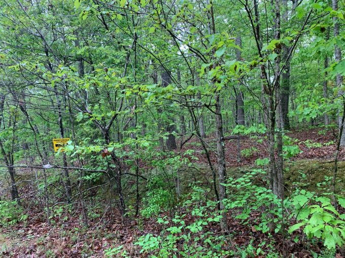 Lot 6, Block 1, Robinhood Drive, Ozark Acres, AR 72482 owner financed land in arkansas