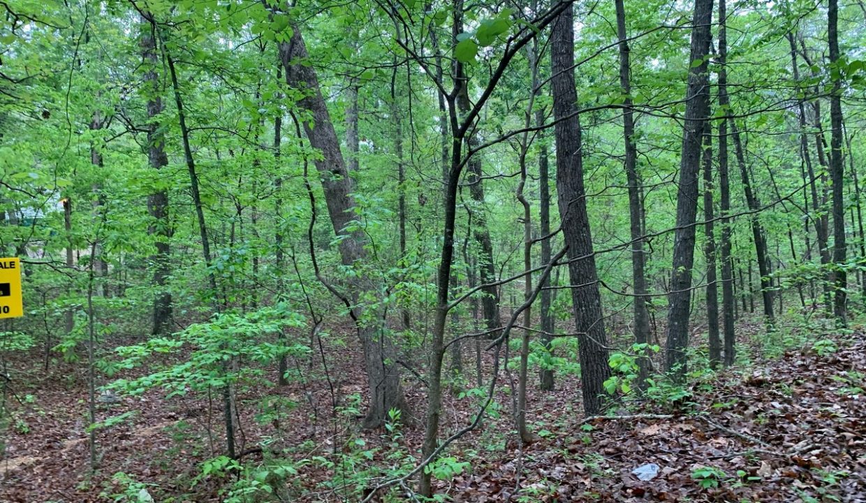 Image00004