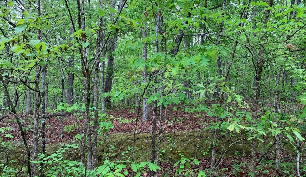Image00004