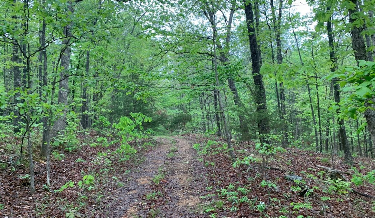 Image00004