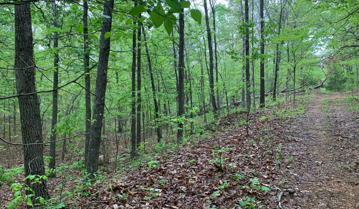 Image00006
